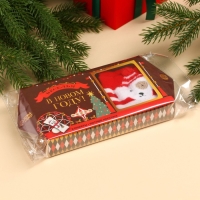 Подарочный набор &laquo;Веселья в новом году&raquo;: конфеты 120 г., носки размер: 35&ndash;42