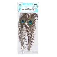 Набор перьев павлина для декора 2 шт.