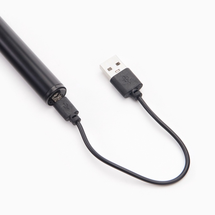 Зажигалка электронная для кухни и свечей, дуговая, 170 мАч, USB Зажигалка электронная для кухни и свечей, дуговая, 170 мАч, USB