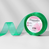 Лента капроновая, 20 мм, 20 ± 1 м, цвет зелёный №19 Лента капроновая, 20 мм, 20 ± 1 м, цвет зелёный №19