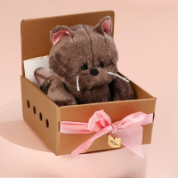 Мягкая игрушка &laquo;Задорная Marta&raquo;, кошечка, 25 см