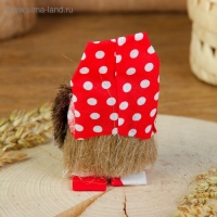 Оберег &laquo;Домовой&raquo;, с рублями, 10 см, микс