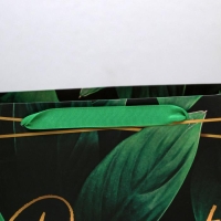 Пакет подарочный ламинированный горизонтальный, упаковка, &laquo;Present for you&raquo;, ML 27 х 23 х 11,5 см