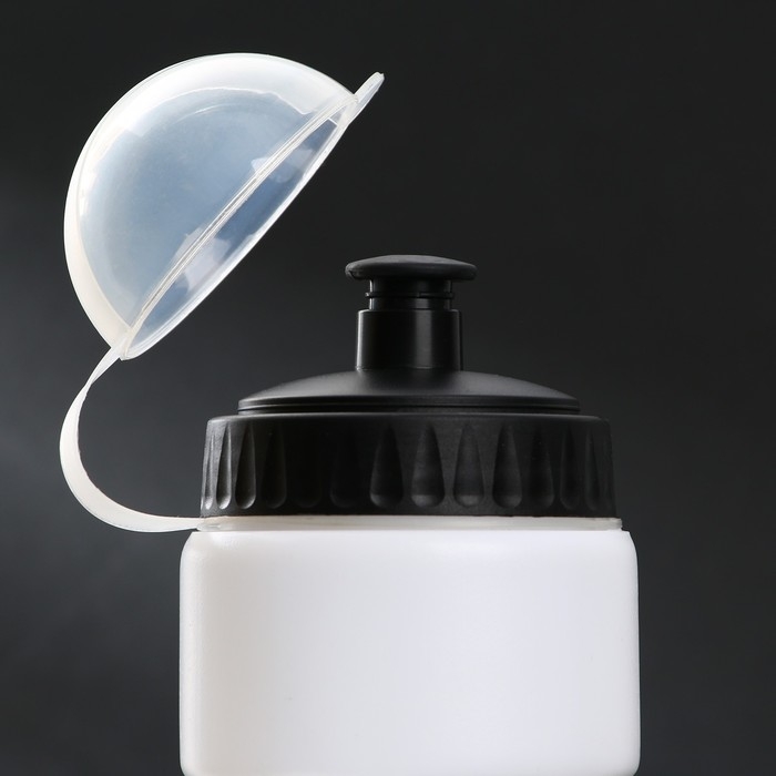 Бутылка для воды &laquo;Красота&raquo;, 750 мл