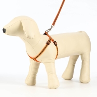 Комплект светоотражающий "Косточки", ошейник 120 х 1 см, ОШ 24-40 см, ОГ 24-40 см оранжевый