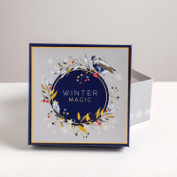 Набор подарочных коробок 6 в 1 «Новогодний», 10.2 х 10.2 х 6 см - 20 х 20 х 11 см, Новый год Набор подарочных коробок 6 в 1 «Новогодний», 10.2 х 10.2 х 6 см - 20 х 20 х 11 см, Новый год