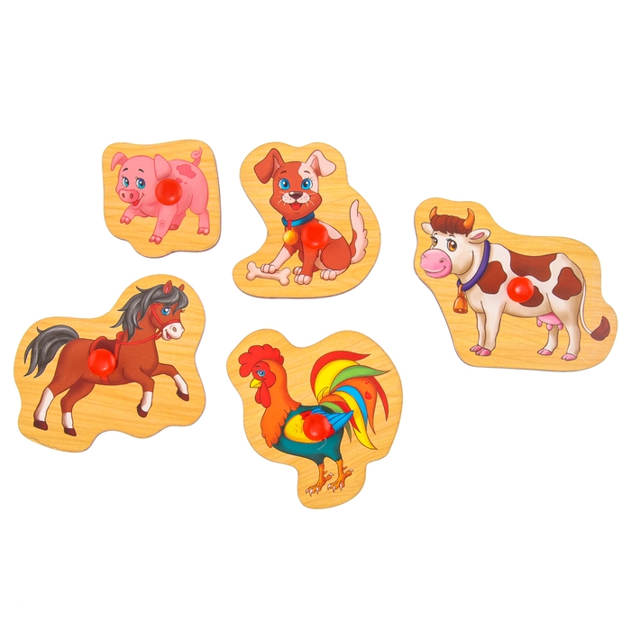 Рамка - вкладыш &laquo;Учим домашних животных&raquo;, 5 элементов