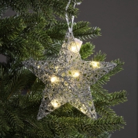 Подвеска световая "Звезда серебристая", 20х20х5 см, 10 LED, батарейки AG13х3 (в комплекте), свечение тёплое белое Подвеска световая "Звезда серебристая", 20х20х5 см, 10 LED, батарейки AG13х3 (в комплекте), свечение тёплое белое