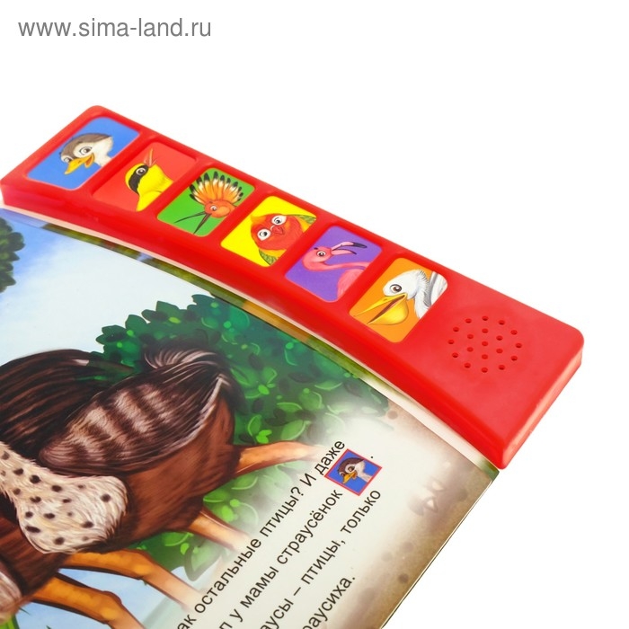 Музыкальная книга «Страусёнок», 12 стр. Музыкальная книга «Страусёнок», 12 стр.