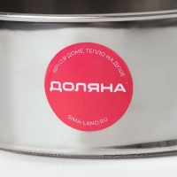 Сито для просеивания Доляна &laquo;Металлик&raquo;, d=24 см, цвет серебристый