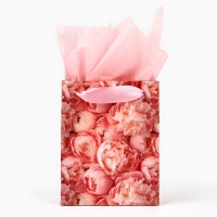 Пакет ламинированный двухсторонний &laquo;Пионы&raquo;, с тишью и открыткой, S, 12 х 15 х 5.5