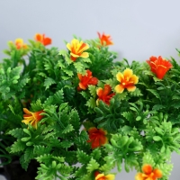 Бонсай в горшке "Дерево жизни" 11,5х15 см, микс Бонсай в горшке "Дерево жизни" 11,5х15 см, микс