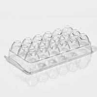 Контейнер для хранения яиц с крышкой RICCO, 18 ячеек, 32,5&times;16,5&times;7,5 см