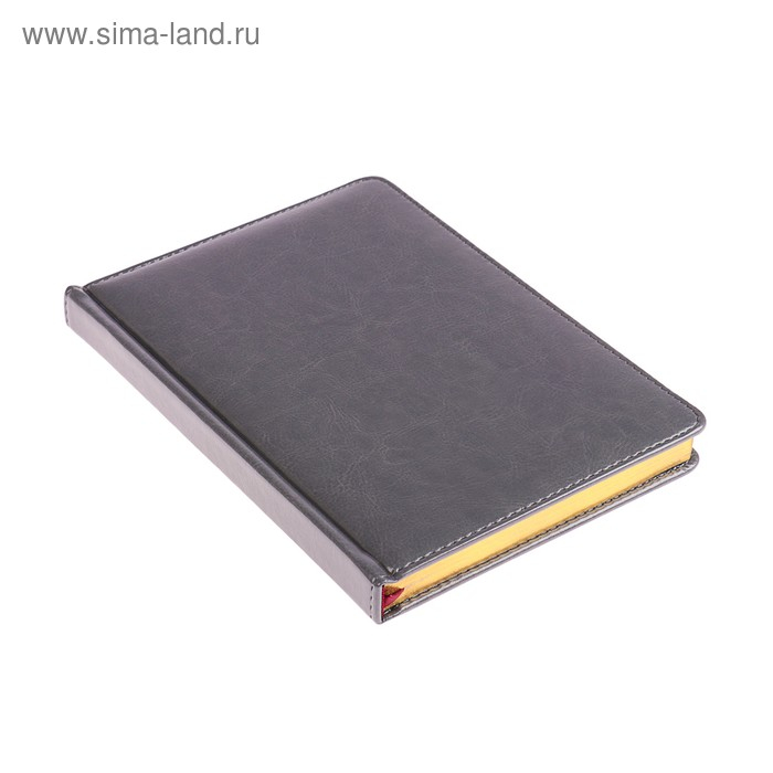 Ежедневник недатированный А5+, 136 листов Sidney Nebraska, твёрдая обложка, искусственная кожа, золотой срез, серый