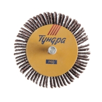 Круг лепестковый радиальный ТУНДРА, 60 х 30 х 6 мм, Р60 Круг лепестковый радиальный ТУНДРА, 60 х 30 х 6 мм, Р60