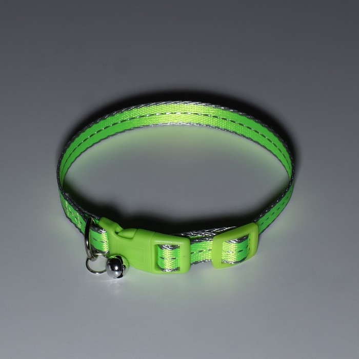 Ошейник Ошейник "Неон" 24-36 х 1,5 см, зелёный
