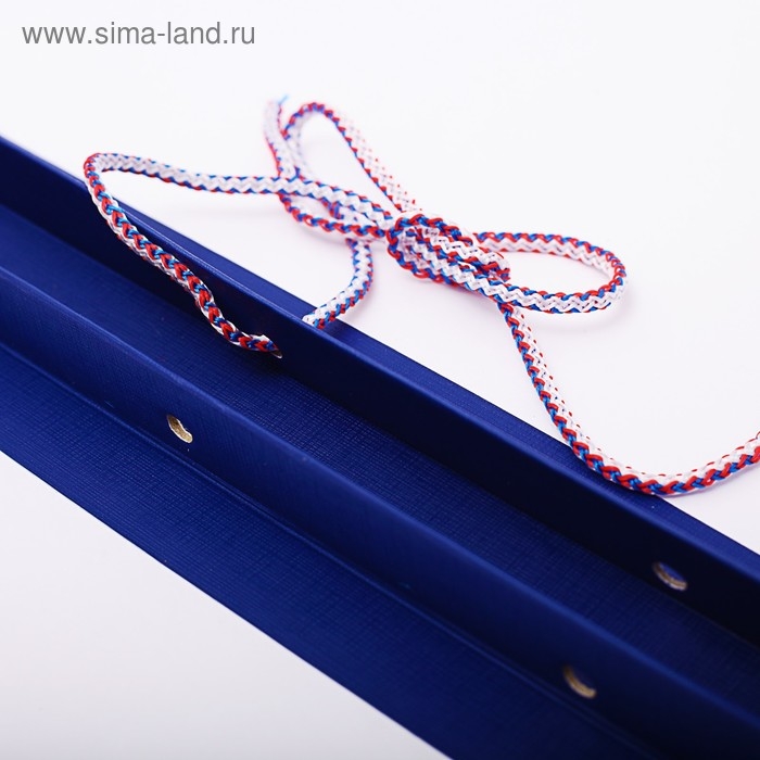 Папка для дипломных работ (Без надписи), бумвинил, гребешки/сутаж, без бумаги, цвет синий (вместимость до 300 листов) Папка для дипломных работ (Без надписи), бумвинил, гребешки/сутаж, без бумаги, цвет синий (вместимость до 300 листов)