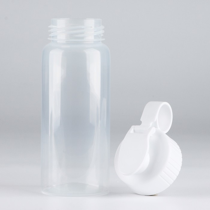 Бутылка для воды «Вид 2», 450 мл Бутылка для воды «Вид 2», 450 мл