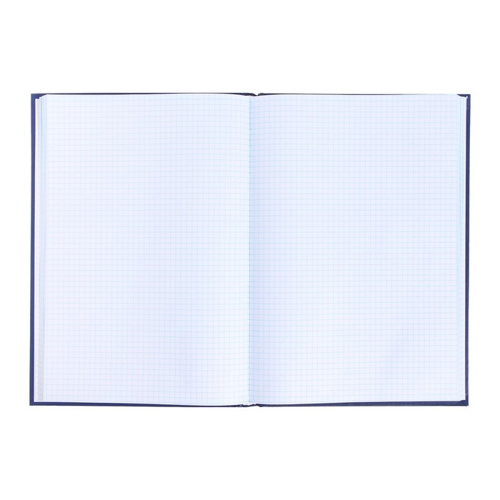 Книга учета, 144 листа, обложка бумвинил, блок ОФСЕТ, клетка, цвет синий, НАКЛЕЙКА Книга учета, 144 листа, обложка бумвинил, блок ОФСЕТ, клетка, цвет синий, НАКЛЕЙКА