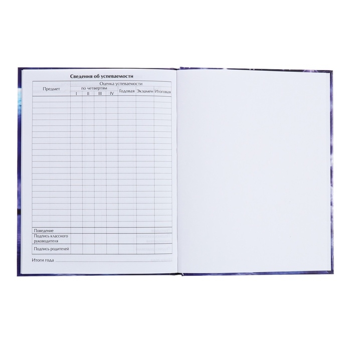 Дневник универсальный для 1-11 классов, "Космический корабль", твердая обложка 7БЦ, глянцевая ламинация, 40 листов