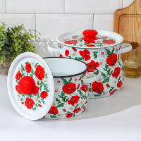 Набор кастрюль &laquo;Маки сибирские&raquo;, 2 предмета: 4 л, 5.5 л, эмалированные крышки, индукция