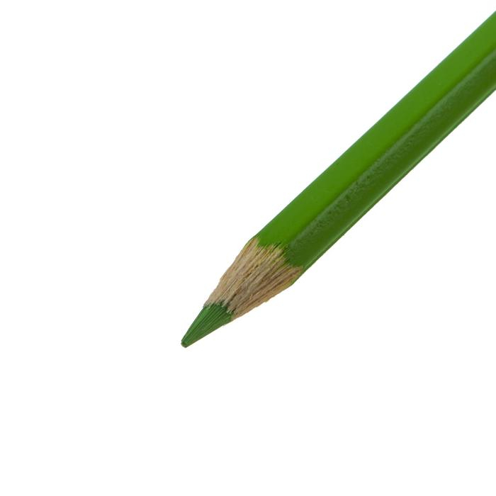 Карандаши Koh-I-Noor 3595 &laquo;Динозавр&raquo;, 36 цветов, картонная упаковка