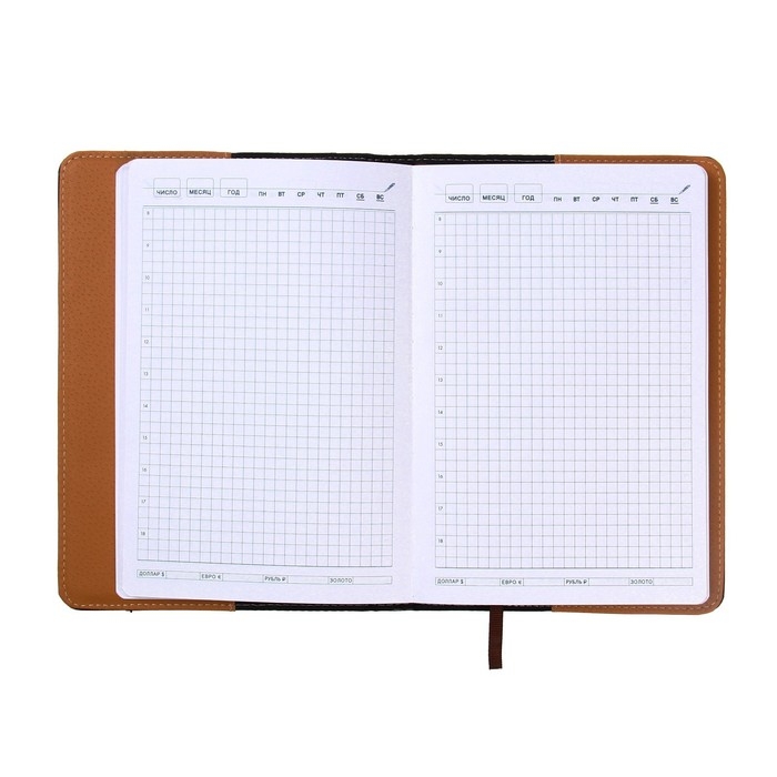 Ежедневник недатированный, обложка ПВХ, формат А5, 140 листов в клетку, с карманами, МИКС