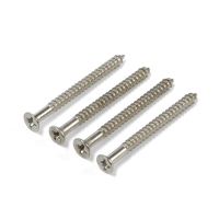 Доводчик дверной ТУНДРА, до 20 кг, цвет  черный, натяжение 1000 гр, длина троса 100 см