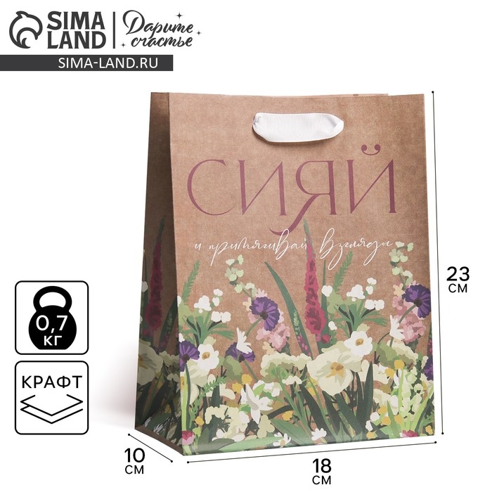 Пакет подарочный крафтовый вертикальный, упаковка, &laquo;Сияй&raquo;, MS 18 х 23 х 8 см