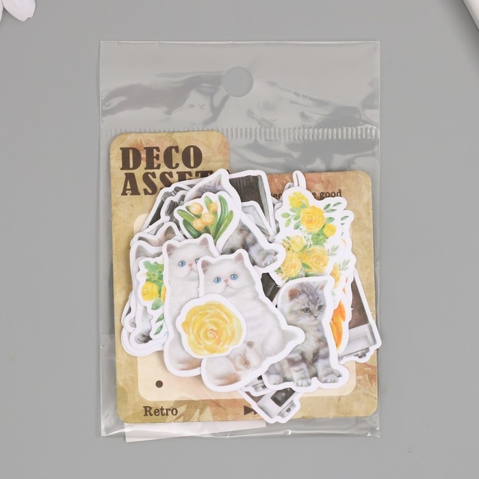 Наклейки для творчества "Коты, жёлтые цветы и фото" 3,5х5 см набор 40 шт 9,4х8,4х0,5 см