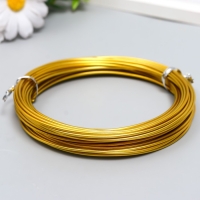 Проволока для творчества d 1,5 мм, золото рул.10 м Проволока для творчества d 1,5 мм, золото рул.10 м