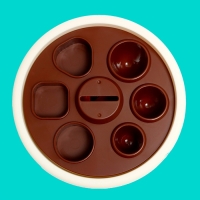 Логический сортер «Цветочный горшочек» Логический сортер «Цветочный горшочек»