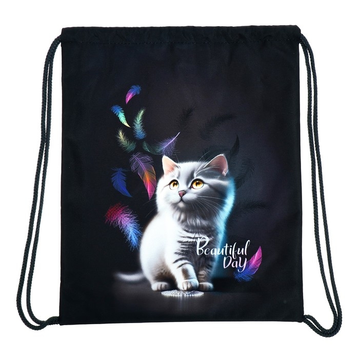 Мешок для обуви 435 х 360 мм, Stavia (плотность 600D с водоотталкивающей ПУ-пропиткой) Мешок для обуви 435 х 360 мм, Stavia (плотность 600D с водоотталкивающей ПУ-пропиткой) "Кот и перья"