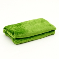 Мягкая игрушка &laquo;Попугай&raquo; с пледом, 40 см