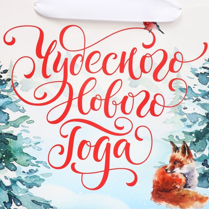 Пакет подарочный новогодний с широким дном &laquo;Новогодние чудеса&raquo;, 25 х 19 х 18 см, Новый год