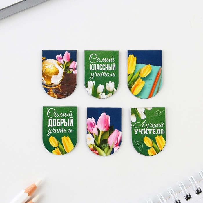Закладки магнитные на подложке «Любимому учителю», 6 шт. Закладки магнитные на подложке «Любимому учителю», 6 шт.