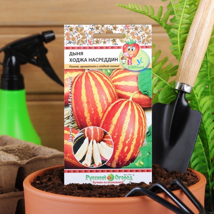 Семена Дыня "Ходжа Насреддин", 5 шт