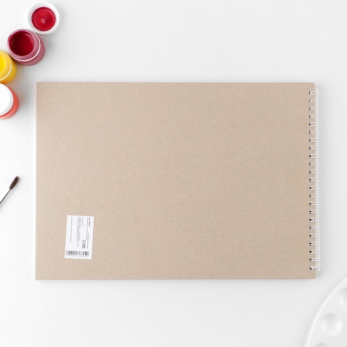 Скетчбук А4, 40 л. 100 г/м &laquo;Енот&raquo;