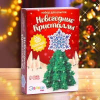 Набор для опытов &laquo;Чудесные кристаллы&raquo;, ёлка со звездой