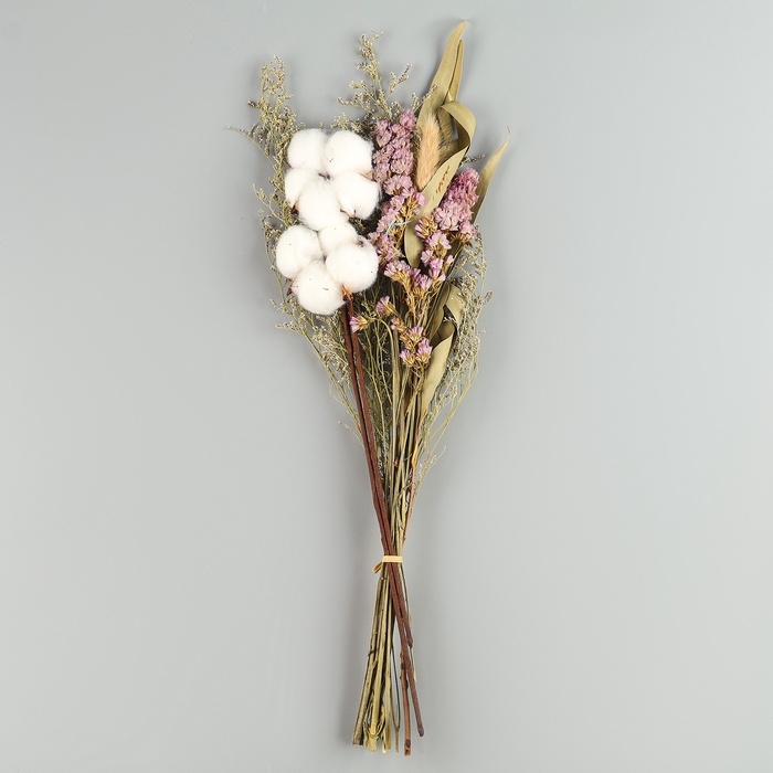 Сухоцветы «Хлопок», набор из 4 видов, 47 × 21,5 × 9 см Сухоцветы «Хлопок», набор из 4 видов, 47 × 21,5 × 9 см