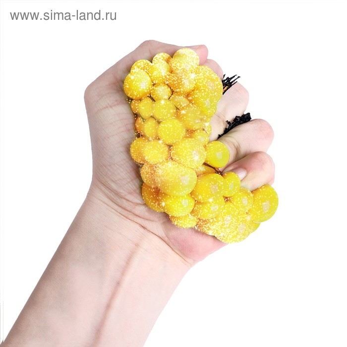 Набор для опытов &laquo;Мялка в сетке&raquo;, с блёстками