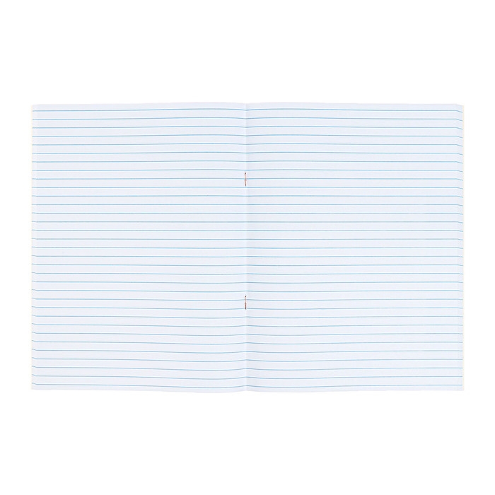 Тетрадь А4 80 листов в линию Calligrata Тетрадь А4 80 листов в линию Calligrata "Аниме. Девочка", обложка мелованный картон, блок №2, белизна 75% (серые листы)