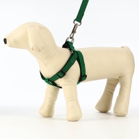 Комплект амуниции рельефный, поводок 120 х 2 см, ОГ 44-50 см, зелёно-чёрный Комплект амуниции рельефный, поводок 120 х 2 см, ОГ 44-50 см, зелёно-чёрный