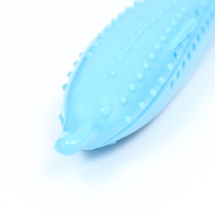 Игрушка для кошек с кошачьей мятой Игрушка для кошек с кошачьей мятой "Дельфин", 17 см, синяя