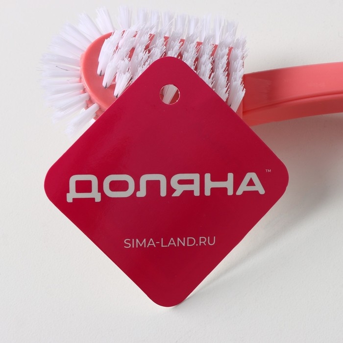 Щётка для посуды Доляна &laquo;Сфера&raquo;, 23&times;6&times;4 см, цвет МИКС