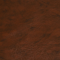 Комплект для обивки дверей 110 × 205 см: иск.кожа, поролон 3 мм, гвозди, коричневый, «Эконом» Комплект для обивки дверей 110 × 205 см: иск.кожа, поролон 3 мм, гвозди, коричневый, «Эконом»