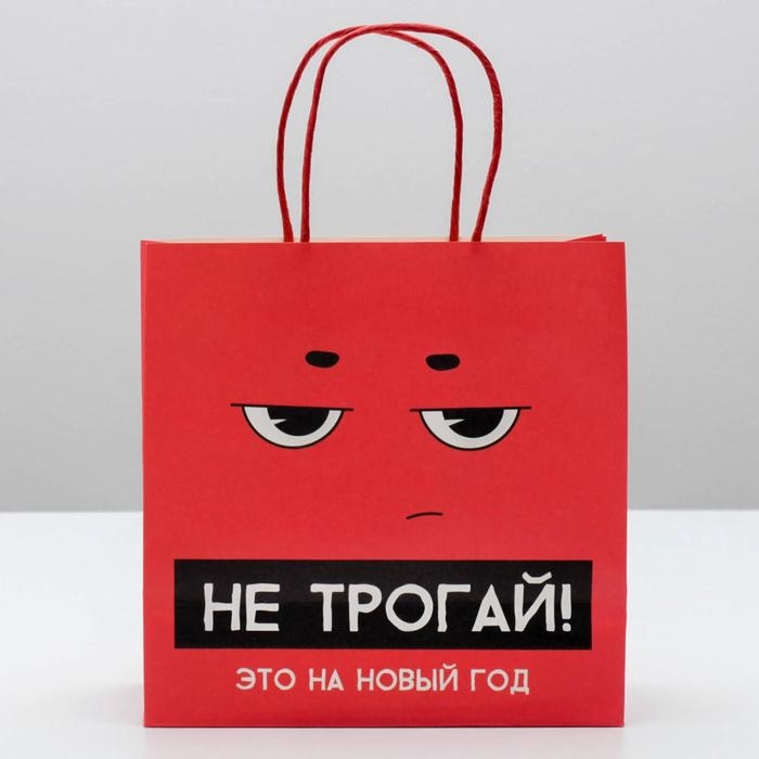 Пакет подарочный новогодний &laquo;Это на новый год&raquo;, 22 х 22 х 11 см, Новый год