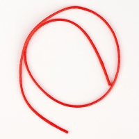 Набор для раскопок «В поисках змейки», с инструментами Набор для раскопок «В поисках змейки», с инструментами