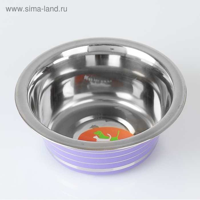 Миска стандартная цветная с полосой, 225 мл, фиолетовая Миска стандартная цветная с полосой, 225 мл, фиолетовая