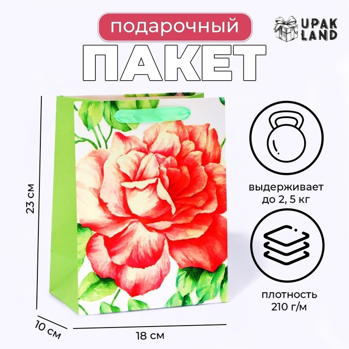 Пакет ламинированный &laquo;Цветок&raquo;, MS 18 &times; 23 &times; 10 см